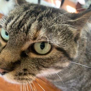 Meet your Posher, Liz